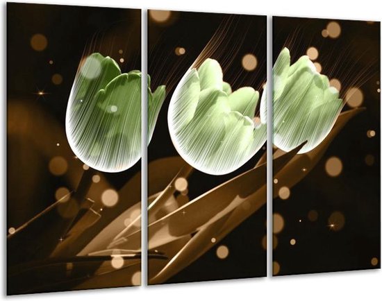 Peinture sur toile Tulipe | Brun vert | 120x80cm 3 Liège