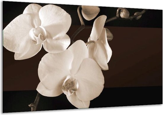 Schilderij Op Canvas Orchidee - Sepia, Bruin - 120x70cm 1Luik - Foto Op Canvas - GroepArt 6000+ Schilderijen 0p Canvas Art Collectie - Wanddecoratie - Woonkamer - Slaapkamer - Canvas Print