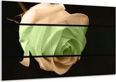 Peinture sur toile Rose | Vert, marron, noir | 120x70cm 1Hatch