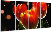 GroepArt - Glasschilderij - Tulp - Oranje, Geel, Rood - 160x80cm 4Luik - Foto Op Glas - Geen Acrylglas Schilderij - 6000+ Glasschilderijen Collectie - Wanddecoratie