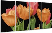 GroepArt - Glasschilderij - Tulpen - Oranje, Rood, Groen - 160x80cm 4Luik - Foto Op Glas - Geen Acrylglas Schilderij - 6000+ Glasschilderijen Collectie - Wanddecoratie