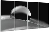 GroepArt - Glasschilderij - Macro - Zwart, Grijs - 160x80cm 4Luik - Foto Op Glas - Geen Acrylglas Schilderij - 6000+ Glasschilderijen Collectie - Wanddecoratie