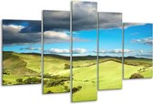 Glasschilderij Natuur - Groen, Blauw, Wit - 170x100cm 5Luik - Foto Op Glas - Geen Acrylglas Schilderij - 6000+ Glasschilderijen Collectie - Wanddecoratie