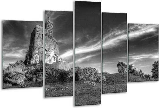 Peinture sur verre Nature | Noir, blanc, gris | 170x100cm 5 Liège | Tirage photo sur verre |  F001813