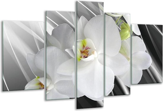 Glasschilderij Orchidee - Wit, Grijs, Groen - 170x100cm 5Luik - Foto Op Glas - Geen Acrylglas Schilderij - 6000+ Glasschilderijen Collectie - Wanddecoratie
