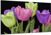 Glasschilderij Tulpen | Paars, Groen, Roze | 120x70cm 1Luik | Foto print op Glas |  F003203