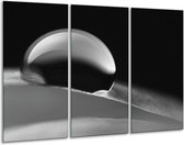 Glasschilderij Macro - Zwart, Grijs - 120x80cm 3Luik - Foto Op Glas - Geen Acrylglas Schilderij - GroepArt 6000+ Glas Art Collectie - Maatwerk Mogelijk