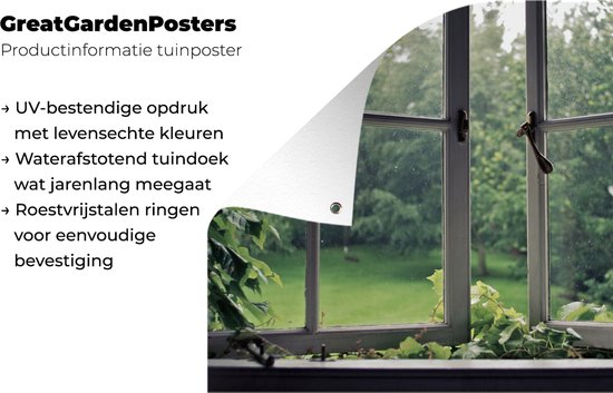 Affiche de jardin Out of the window - Vieille fenêtre envahie 120x80 cm - Toile de jardin / Toile d'extérieur / Peintures d'extérieur (décoration de jardin)