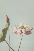 ESTAhome fotobehang lotusbloem oudroze - 158890 - 1.86 x 2.79 m