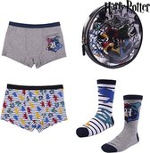 Pakket met ondergoed voor kinderen Harry Potter Multicolour (4 pcs)