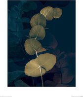 Poster - Dark Tropics I Ian Winstanley - 50 X 40 Cm - Multicolor