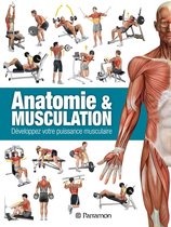 Anatomie & Musculation - Anatomie & Musculation