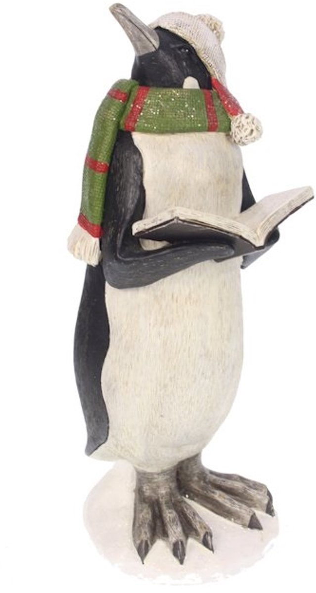 Pinguin met boek groene sjaal 10x11x25cm | Meander