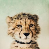 Poster Baby Cheetah - Papier - Meerdere Afmetingen & Prijzen | Wanddecoratie - Interieur - Art - Wonen - Schilderij - Kunst