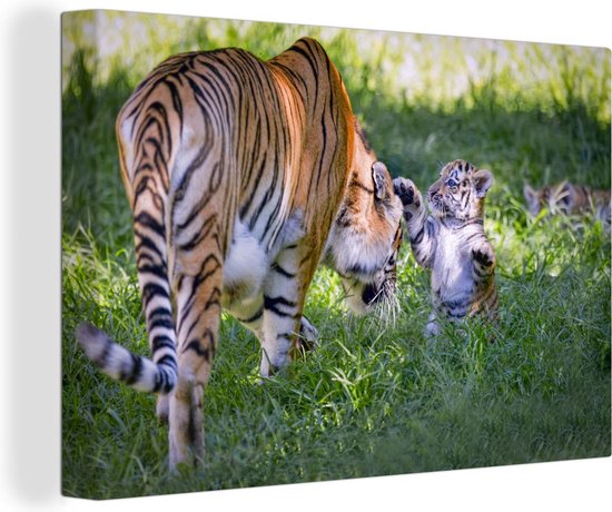 Bébé tigre jouant avec sa mère 180x120 cm - Tirage photo sur toile (Décoration murale salon / chambre) / Animaux sauvages Peintures sur toile XXL / Groot format!