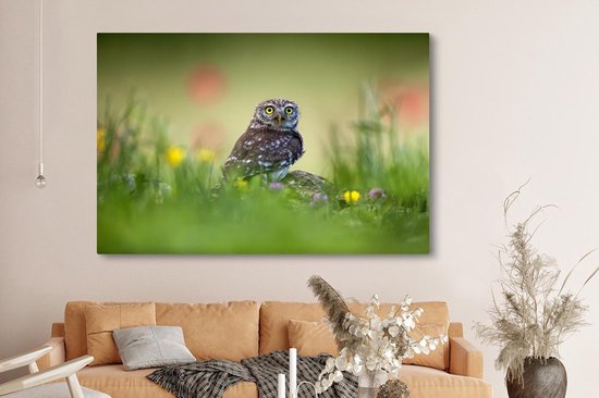 Chouette assise sur un rocher dans un champ 180x120 cm - Tirage photo sur toile (Décoration murale salon / chambre) XXL / Groot format!