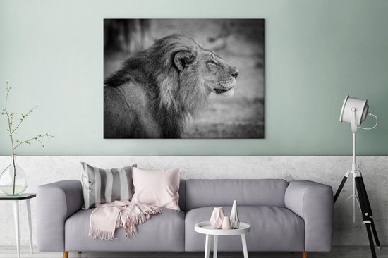 Toile de lion mâle 2cm 160x120 cm - Tirage photo sur toile (Décoration murale salon / chambre) / Animaux sauvages Peintures sur toile XXL / Groot format!