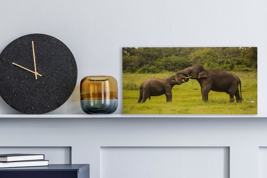 Deux éléphants de combat sur toile 2cm 30x20 cm - petit - Tirage photo sur toile (Décoration murale salon / chambre) / Animaux sauvages Peintures sur toile