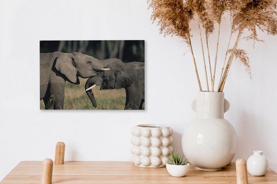 Toile d'éléphants gambadeurs 2cm 30x20 cm - petit - Tirage photo sur toile (Décoration murale salon / chambre) / animaux sauvages Peintures sur toile