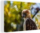 Canvas schilderij 140x90 cm - Wanddecoratie Filipijnse apenarend tijdens opkomende zon - Muurdecoratie woonkamer - Slaapkamer decoratie - Kamer accessoires - Schilderijen