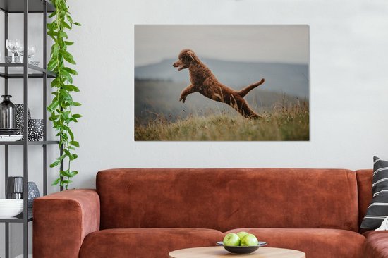 Caniche marron saute dans les airs 120x80 cm - Tirage photo sur toile (Décoration murale salon / chambre) / Peintures sur toile Animaux domestiques