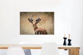 Canvas Schilderij Gazelle - Afrika - Portret - 90x60 cm - Wanddecoratie