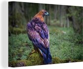 Aigle doré coloré sur un arbre moussu Toile 140x90 cm - Tirage photo sur toile (Décoration murale salon / chambre)