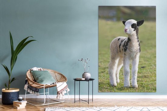 Petite toile blanche avec agneau noir dans l'herbe 120x180 cm - Tirage photo sur toile (Décoration murale salon / chambre) / Animaux de la ferme Peintures sur toile XXL / Grand format!