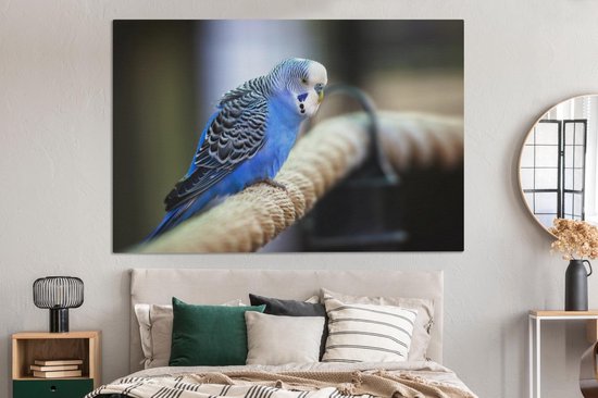 Canvas schilderij 150x100 cm - Wanddecoratie Knalblauwe parkiet op een dik touw - Muurdecoratie woonkamer - Slaapkamer decoratie - Kamer accessoires - Schilderijen