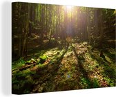 Forêt colorée dans le parc national des Carpates en Europe Toile 30x20 cm - petit - Tirage photo sur toile (Décoration murale salon / chambre)