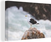 Peinture sur Toile Mouette - Pierre - Water - 150x100 cm - Décoration murale