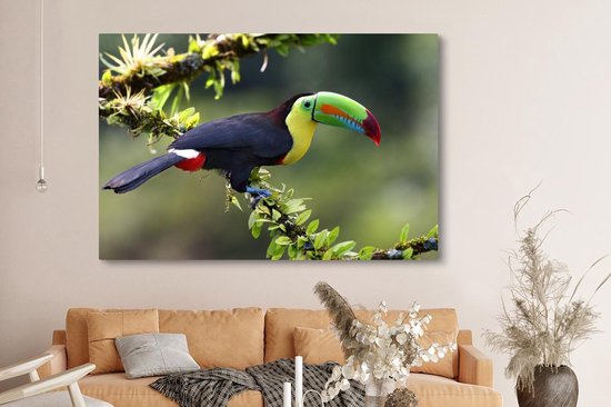 Tableau sur toile Un toucan sur une brindille fleurie - 150x100 cm - Décoration murale