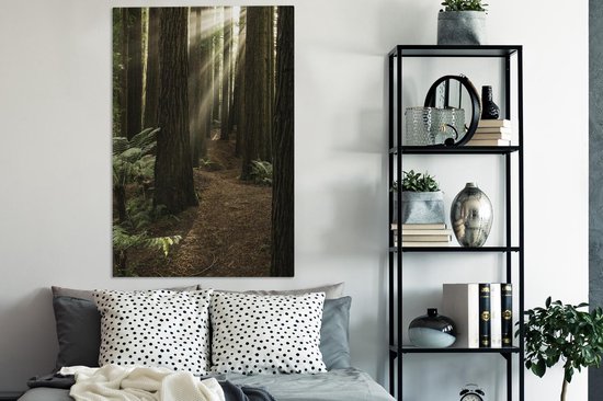 Canvas Schilderij Zonnestralen tussen de Redwood bomen - 80x120 cm - Wanddecoratie