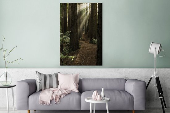 Canvas Schilderij Zonnestralen tussen de Redwood bomen - 80x120 cm - Wanddecoratie