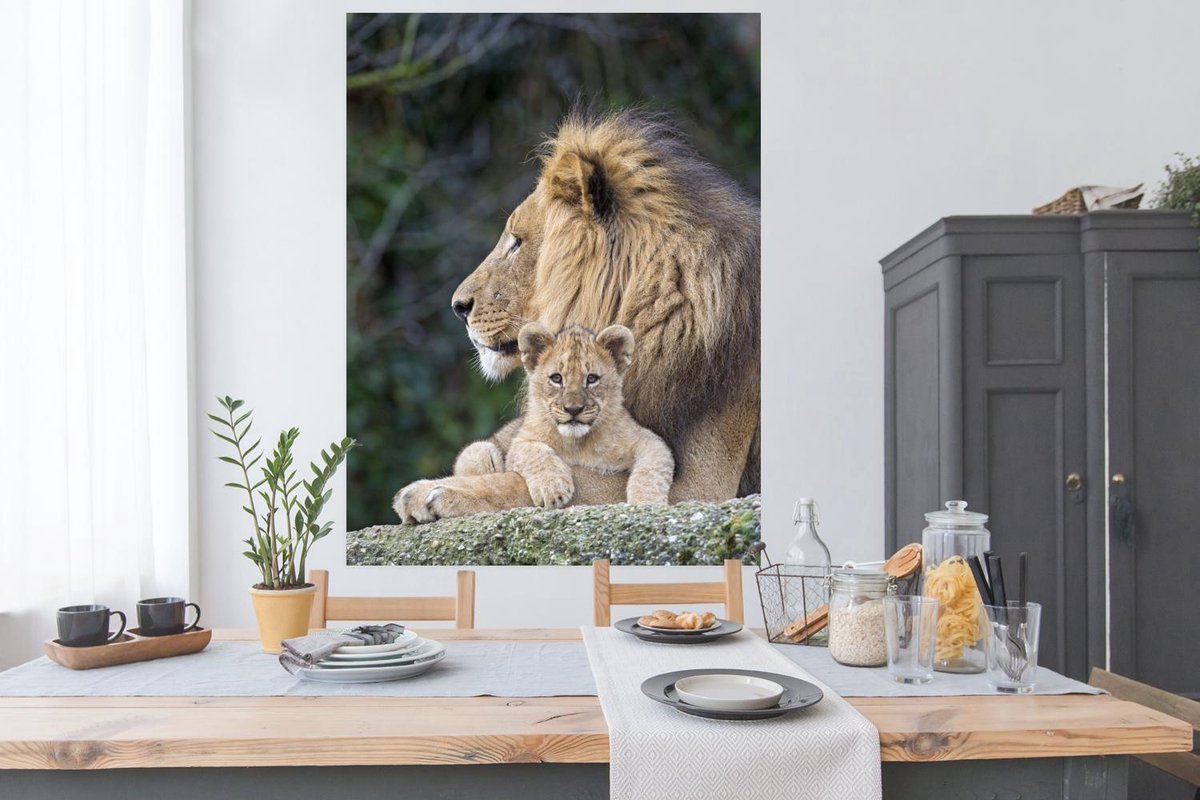 Poster Lion adulte avec lionceau papier 30x40 cm - petit - Tirage photo sur  Poster