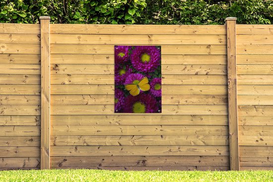Poster Jardin papillon orange sur Aster fleurs 60x90 cm - Toile de jardin / Toile d'extérieur / Peintures d'extérieur (décoration de jardin)