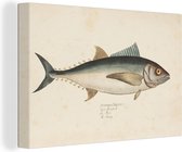 Canvas Schilderij Een vintage illustratie van een vis - 90x60 cm - Wanddecoratie