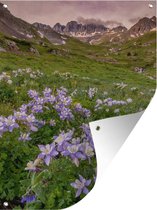Tuinposter - Tuindoek - Tuinposters buiten - Berglandschap met akeleien - 90x120 cm - Tuin