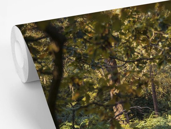 Papier peint Papier peint photo en vinyle - Cerf marchant dans une forêt en automne largeur 360 cm x hauteur 260 cm - Tirage photo sur papier peint (disponible en 7 tailles)
