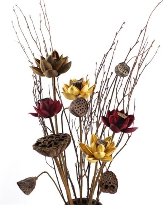 Fleurs de Lotus séchées avec tige Décoration d' Décoration - - | bol.com