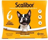 Intervet scalibor protectorband - small/medium 48 cm - 1 stuks