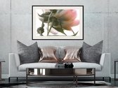 Poster - Under the Flower-30x20