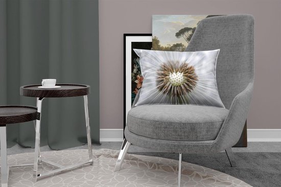 Sierkussen Graines de pissenlit pour usage intérieur - Il manque quelques graines de pissenlit - 50x30 cm - Coussin intérieur rectangulaire en coton