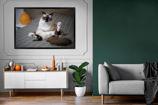 Cadre photo chat dans un lit noir sans support