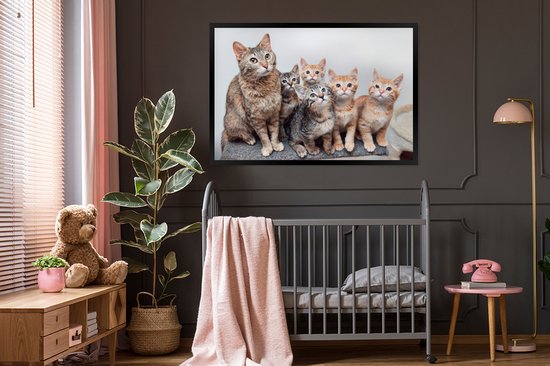 Photo encadrée - Cadre photo chatons curieux noir sans passe partout 120x80 cm - Affiche encadrée (Décoration murale salon / chambre)