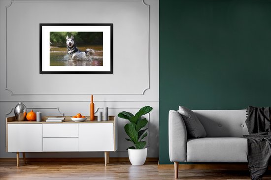 Photo encadrée - Cadre photo Husky dans l'eau noir avec passe-partout blanc 60x90 90x60 cm - Affiche encadrée (Décoration murale salon / chambre)