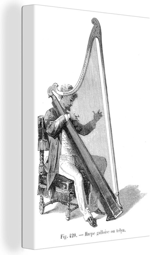 Illustration Zwart et blanc d'un musicien avec une harpe 60x90 cm - Tirage  photo sur... | bol.com