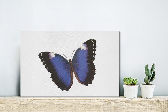 Illustration d'un papillon bleu avec bords noirs 30x20 cm - petit - Tirage photo sur toile (Décoration murale salon / chambre)