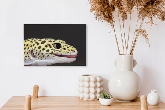 Gros plan sur toile gecko léopard 2cm 30x20 cm - petit - Tirage photo sur toile (Décoration murale salon / chambre) / Animaux sauvages Peintures sur toile