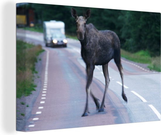 Toile d'orignal sur la route 2cm 180x120 cm - Tirage photo sur Toile (Décoration murale salon / chambre) / Animaux sauvages Peintures sur toile XXL / Groot format!